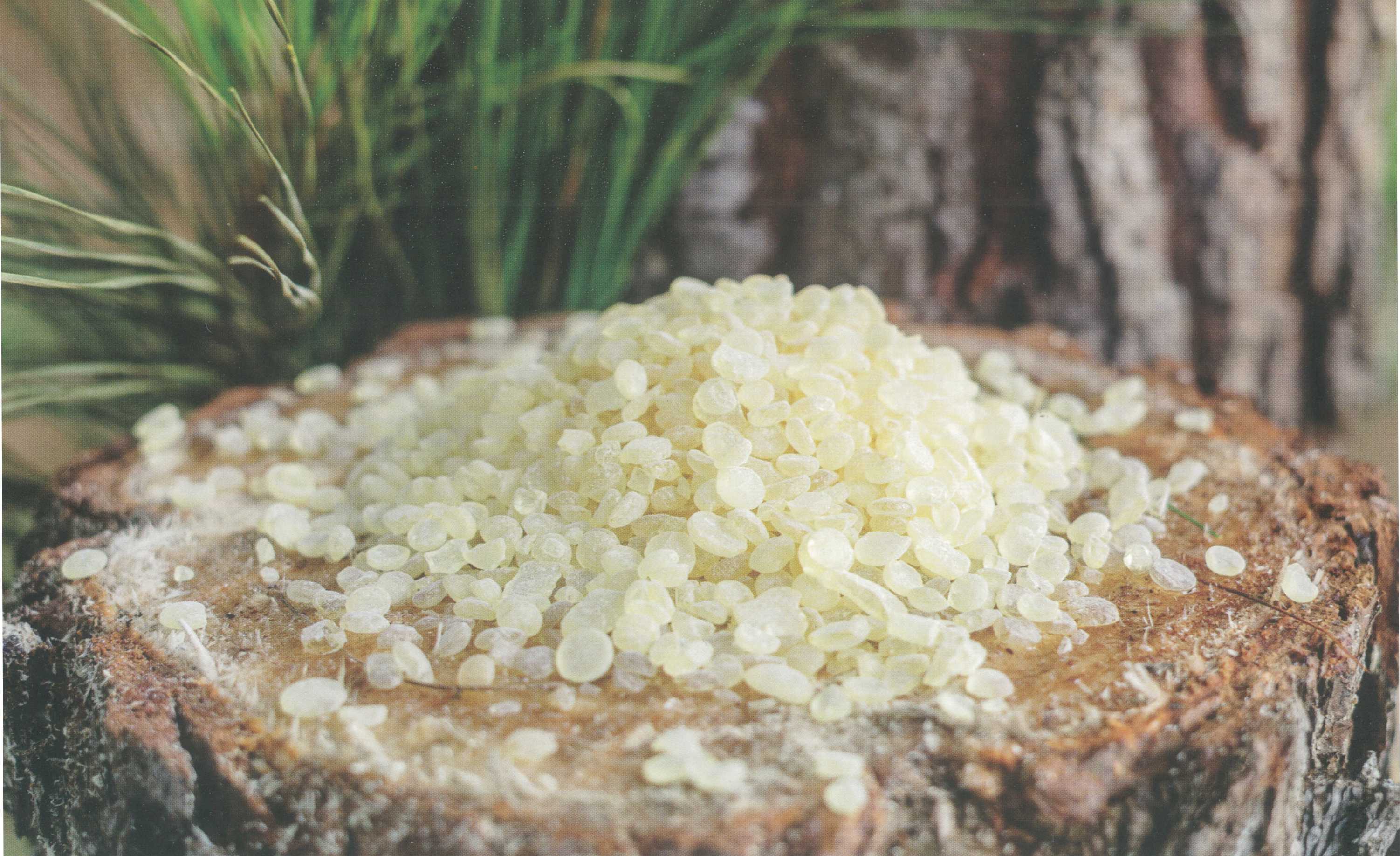 Hidrojene Reçine (HYDRODHERE)
